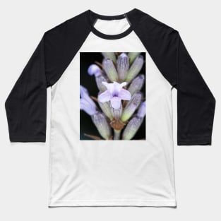 Macro shot of lavender flower Baseball T-Shirt